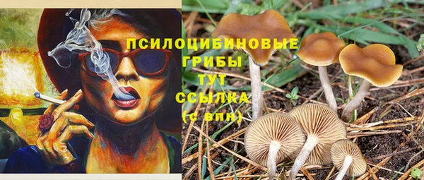 а пвп мука Надым